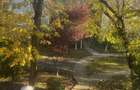 Apartament 2 camere de inchiriat in Buftea Studio - 6