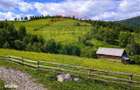 Teren de vanzare in inima Apusenilor 6.500 mp Arieseni - 3