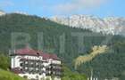 Teren intravilan de 13570 mp, în Central - 1