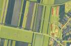 Teren agricol de 9858 mp, în Vest - 2