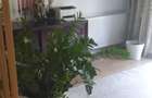 Casa zona Odai -- Otopeni - 4