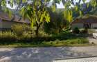 Nadrag-teren intravilan de casa cu gradina Nadrag - 5
