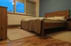 Apartament cu 2 camere decomandat în Giurgiului - 5