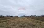 Casă / Vilă cu 12 camere, teren intravilan de 2869mp în Siminicea, SV - 14