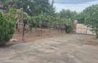 Vand casa in Sculia,Ora?ul Gataia,Jud Timi? (2158mp) - 6