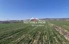 NECTORA IMOB-Teren Intravilan 537 mp, Zona Solay, 250 m de asfalt - 4