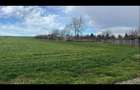 Teren agricol extravilan de 7500 mp, în Lețcani - 3