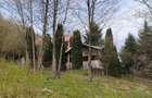 Proprietate de vacanta Valea Oltului - BREZOI - 2
