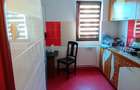 Apartament cu 2 camere semidecomandat în Podul de Piatră - 8