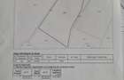 Vand Teren Viticol intravilan/extravilan 3,5 Ha - 2