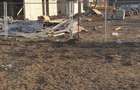 Teren Construcții de 1000 mp, în Est - 9