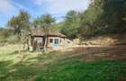 Casă cu 4 camere cu Teren 9563 Mp în Exterior Nord - 17