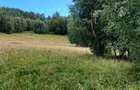 Teren Construcții intravilan de 15000 mp, în Băișoara - 2