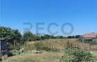 RECO Teren intravilan in Paleu la doar 22euro/mp - 4