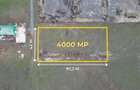 Teren industrial 4.000 mp, parcelabil, POT 80% I Sacalaz - 3