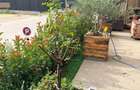 Apartament de vanzare 3 camere + gradina