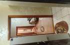 Apartament 2 camere,conf.2 - 3