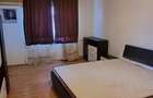 Apartament cu o camera, zona Canta - 3