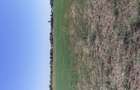 Teren de 4000 mp, în Căldărușeanca - 8