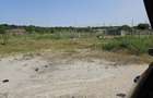 Teren de vanzare Faclia - 4