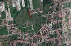 Teren pentru Parcelare de vanzare in zona Lugojului-Ghiroda - 3