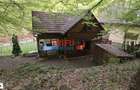 Casa de vacan?a la padure | Teren 891 mp | Valea Ighielului - 5