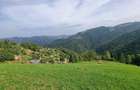 Teren intravilan de 2300 mp, în Măguri-Răcătău - 8