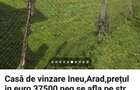 Se vinde casa in Ineu - 8