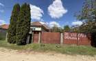Casa de vanzare Vadu Crisului - 7
