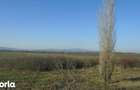 Teren extravilan cota parte 1/6 Odobesti, ID: R2878573 - 1