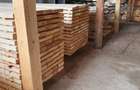 Gater Vanzarea complet utilat in zona Bacau - 8