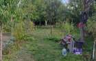 Casă cu 3 camere în Aradului - 15