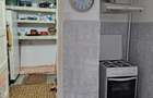 Inchiriere apartament 2 cam Nicolae Balcescu - 9