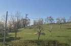 Casa cu 3 camere, curte mare ?i utilita?i - 4