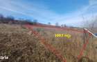 Teren intravilan Rotbav, ideal pentru constructii, panorama deosebita - 3