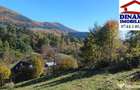 3600 mp teren intravilan, sat Bistrita, 12 Euro/mp - 5