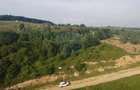 Teren de vanzare in Salicea, 10000 MP , Zona Moara de vant! - 6