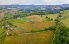 Teren Construcții de 11600 mp, în Poiana Mărului - 1