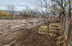 Teren intravilan 1021mp Ciurbesti - 1