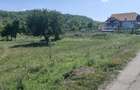 Teren de 3000 mp, în Nădăștia de Jos - 1