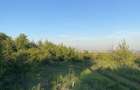 Teren de 1500 mp, în Bucovăț - 1