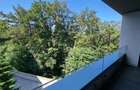 Apartament cu 3 camere decomandat în Drumul Poienii - 11