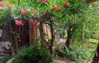 Casa de vacanta comana Izvoarele-Maneciu, Valenii de Munte - 14
