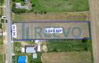 Teren intravilan de vanzare, Sat Prisaca, Com. Bere?ti ... - 6