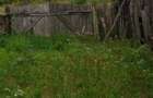 Vand casa cu gradina - 8