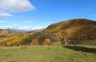 Teren 10.000 mp- Zona Montana Salbatica (Valea Mare Prava?-AG) , Panorama Iezer-Papu?a - 4