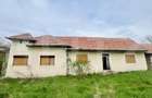 Casa de Vanzare, 4139 mp, Hapria, Ciugud Ideala ca Locuin?a sau Proiect Rural - 6