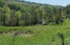Teren de vis la munte 7.795 mp construibil parau, padure, fara vecini Valcea - 5