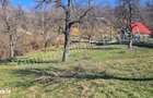 Teren de vanzare in comuna Valea Iasului, sat Cerbureni, judet Arges. - 3