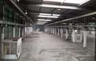 Spațiu comercial, de 20,000 mp, în Timișoara - 20